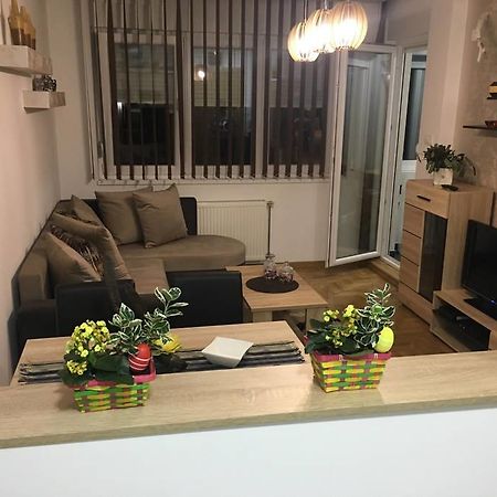 Apartment Sinisa With Garage Nowy Sad Zewnętrze zdjęcie