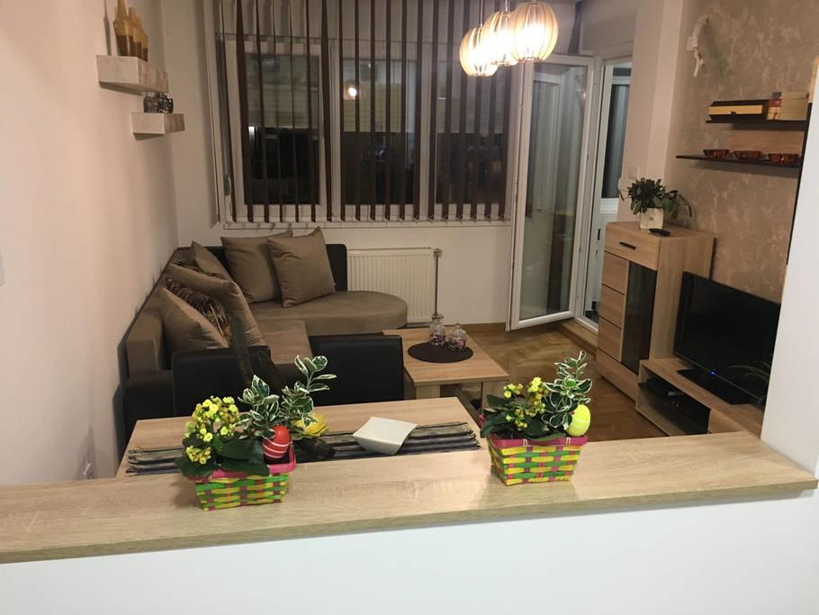 Apartment Sinisa With Garage Nowy Sad Zewnętrze zdjęcie