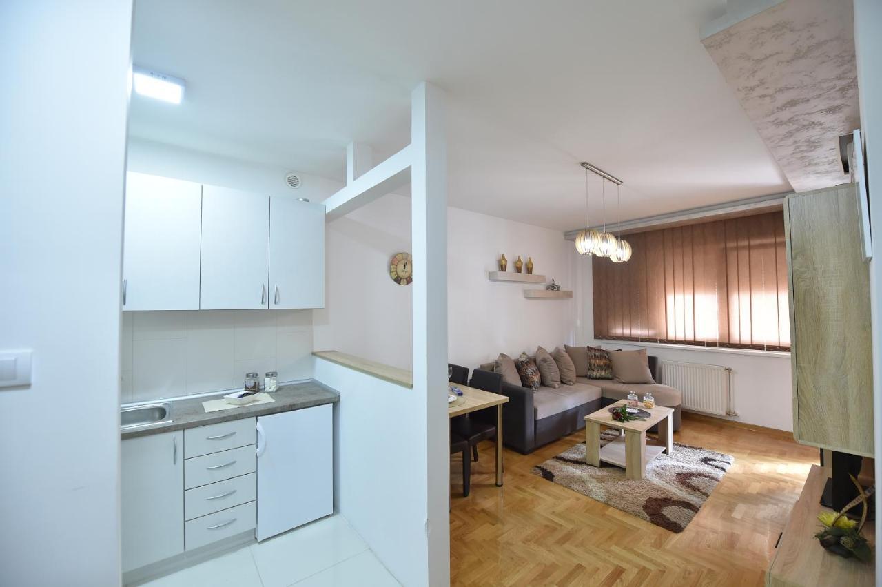 Apartment Sinisa With Garage Nowy Sad Zewnętrze zdjęcie